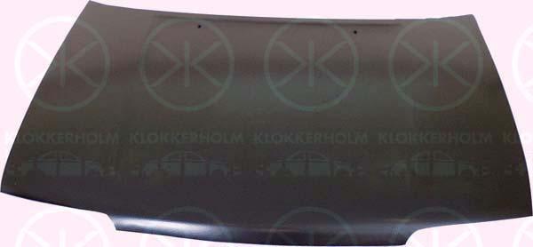 Klokkerholm 1628280 Капот 1628280: Купити в Україні - Добра ціна на EXIST.UA!