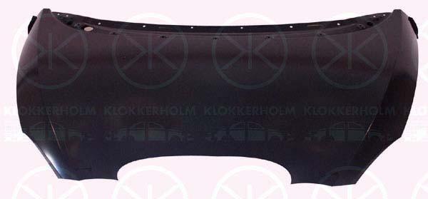 Klokkerholm 6612280 Капот 6612280: Купити в Україні - Добра ціна на EXIST.UA!