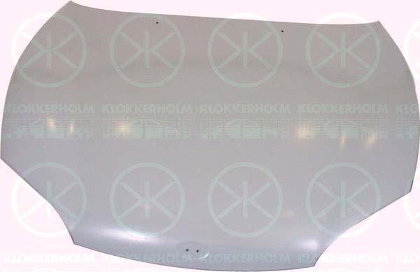Klokkerholm 3158280A1 Капот 3158280A1: Купити в Україні - Добра ціна на EXIST.UA!