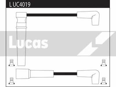 Lucas Electrical LUC4019 Дроти високовольтні, комплект LUC4019: Купити в Україні - Добра ціна на EXIST.UA!