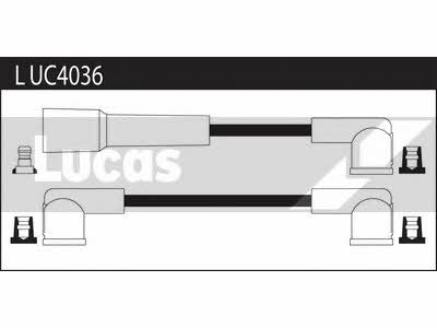 Lucas Electrical LUC4036 Дроти високовольтні, комплект LUC4036: Купити в Україні - Добра ціна на EXIST.UA!