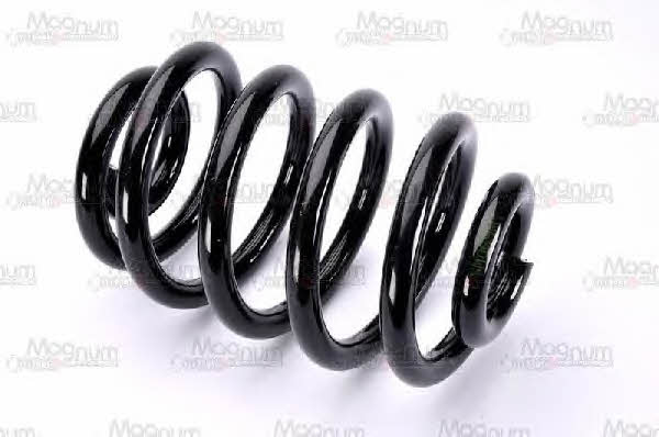 Купить Magnum technology SM069MT по низкой цене в Украине!