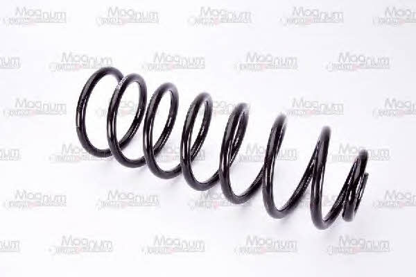 Купить Magnum technology SW050MT по низкой цене в Украине!