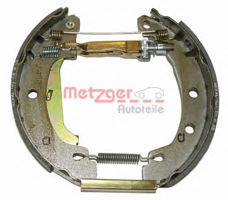 Купить Metzger MG 632V по низкой цене в Украине!