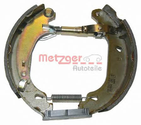 Купить Metzger MG 715V по низкой цене в Украине!
