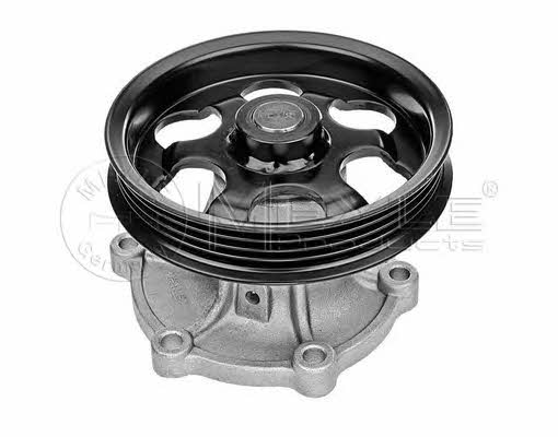 Meyle 30-13 161 0010 Помпа водяная 30131610010: Отличная цена - Купить в Украине на EXIST.UA! 30131610010 Meyle Помпа водяная