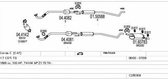  C250309005445 Система випуску відпрацьованих газів C250309005445: Купити в Україні - Добра ціна на EXIST.UA!