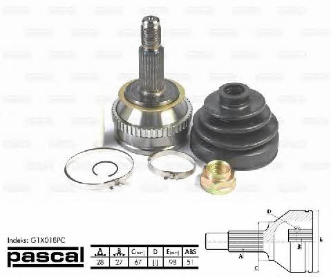 Купити Pascal G1X018PC за низькою ціною в Україні!