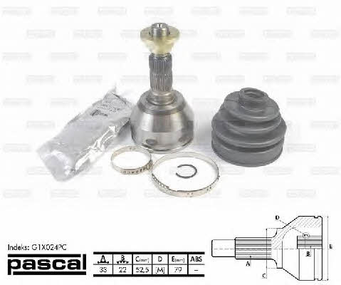 Купити Pascal G1X024PC за низькою ціною в Україні!