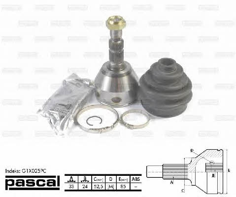 Купити Pascal G1X025PC за низькою ціною в Україні!