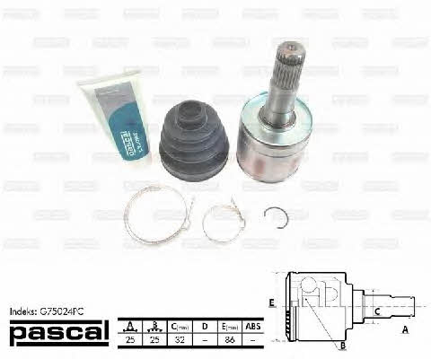 Купить Pascal G75024PC по низкой цене в Украине!