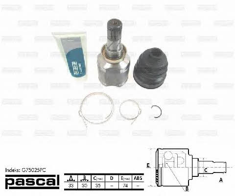 Купить Pascal G75025PC по низкой цене в Украине!