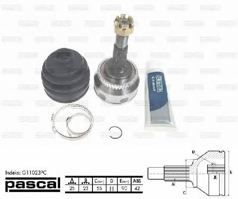 Купити Pascal G11023PC за низькою ціною в Україні!