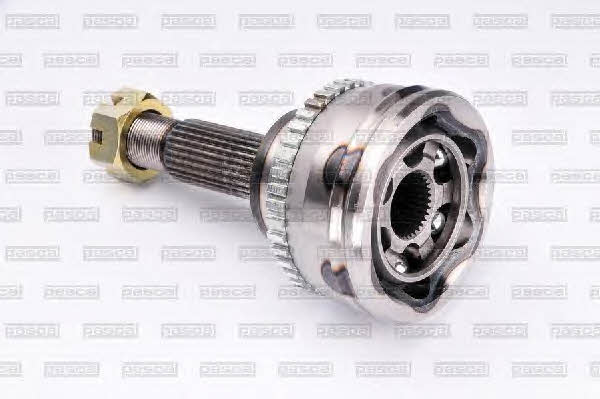 Купити Pascal G11031PC за низькою ціною в Україні!