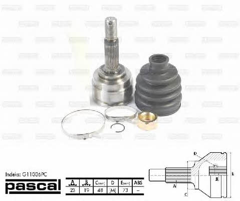 Купити Pascal G11036PC за низькою ціною в Україні!