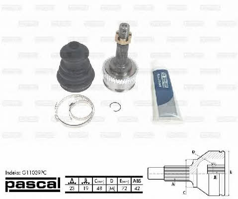 Купити Pascal G11039PC за низькою ціною в Україні!