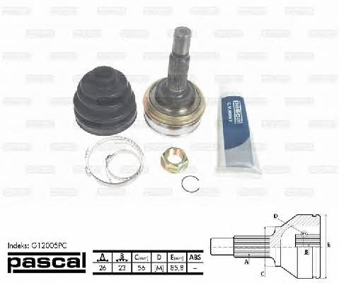 Купить Pascal G12005PC по низкой цене в Украине!