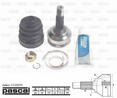 Купити Pascal G12036PC за низькою ціною в Україні!