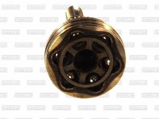Купити Pascal G12081PC – суперціна на EXIST.UA!