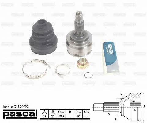 Купить Pascal G18029PC по низкой цене в Украине!