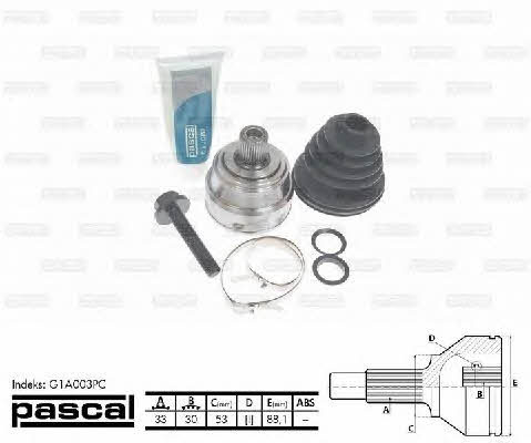 Купити Pascal G1A003PC за низькою ціною в Україні!