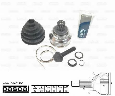 Купити Pascal G1A019PC за низькою ціною в Україні!