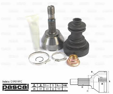 Купити Pascal G1F019PC за низькою ціною в Україні!