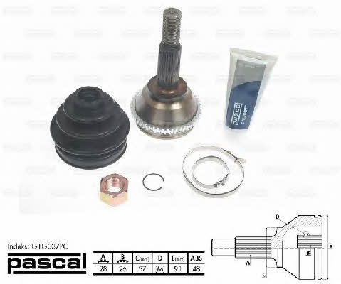 Купити Pascal G1G037PC за низькою ціною в Україні!