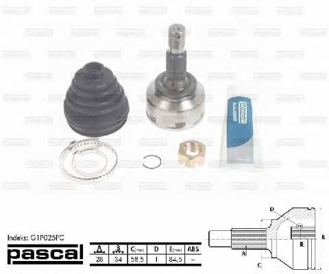 Купити Pascal G1P025PC за низькою ціною в Україні!