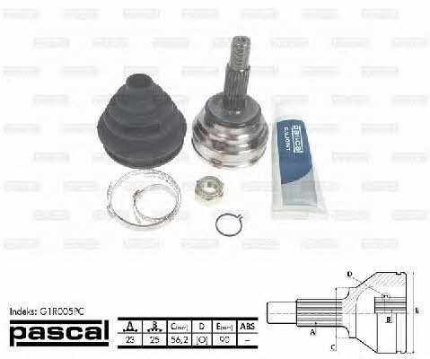 Купити Pascal G1R005PC за низькою ціною в Україні!