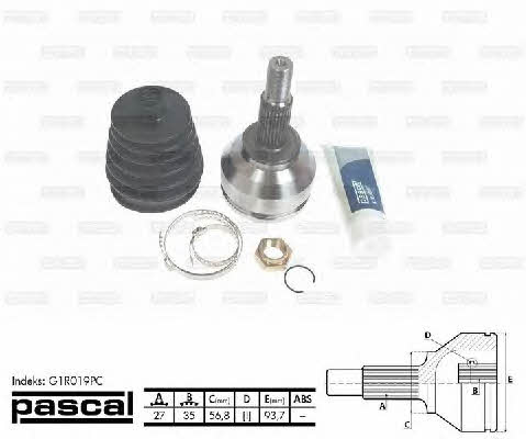 Купити Pascal G1R019PC за низькою ціною в Україні!