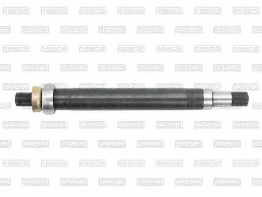Купити Pascal G8G008PC за низькою ціною в Україні!