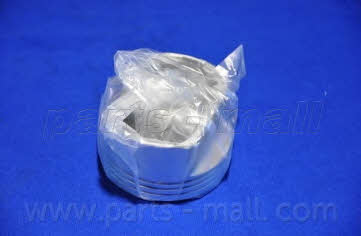Поршень PMC PXMSA-055A