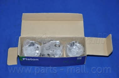 Поршень PMC PXMSC-001C
