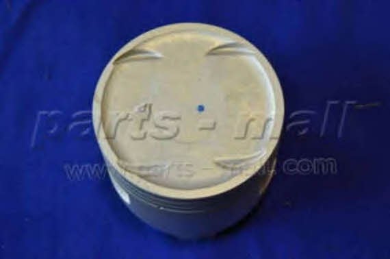 Поршень PMC PXMSC-013A