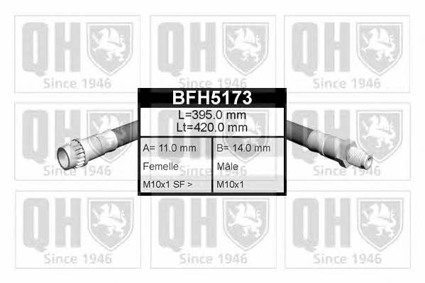 Quinton Hazell BFH5173 Гальмівний шланг BFH5173: Купити в Україні - Добра ціна на EXIST.UA!
