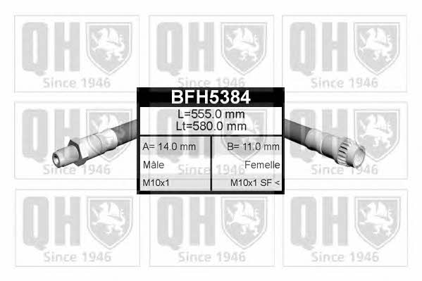 Quinton Hazell BFH5384 Гальмівний шланг BFH5384: Купити в Україні - Добра ціна на EXIST.UA!