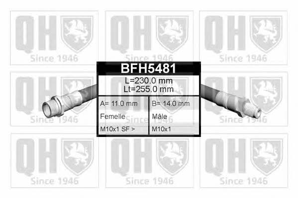 Quinton Hazell BFH5481 Гальмівний шланг BFH5481: Купити в Україні - Добра ціна на EXIST.UA!