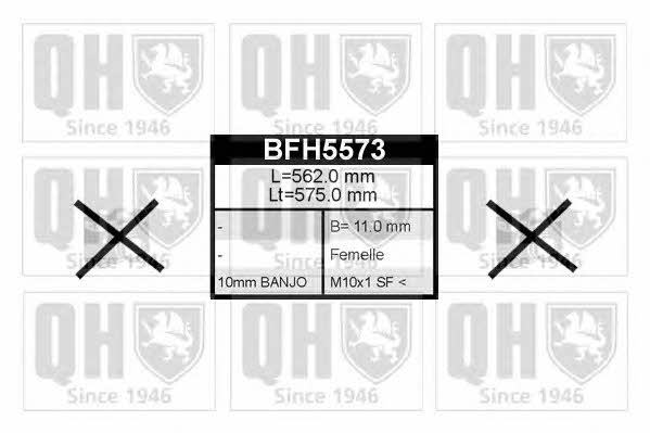 Quinton Hazell BFH5573 Гальмівний шланг BFH5573: Купити в Україні - Добра ціна на EXIST.UA!