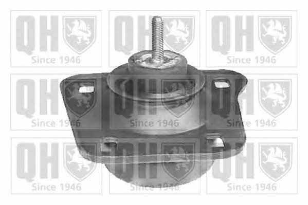 Quinton Hazell EM4165 Подушка двигуна EM4165: Купити в Україні - Добра ціна на EXIST.UA!