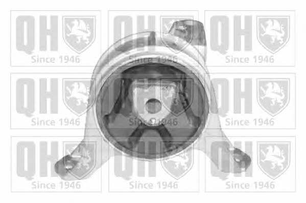 Quinton Hazell EM4187 Подушка двигуна EM4187: Купити в Україні - Добра ціна на EXIST.UA!