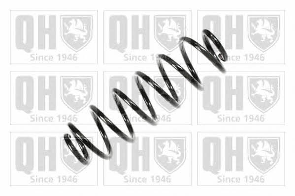 Quinton Hazell QCS5404 Пружина підвіски задня QCS5404: Купити в Україні - Добра ціна на EXIST.UA!