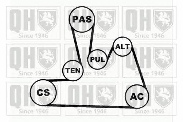 Комплект ремня генератора Quinton Hazell QDK31