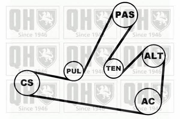 QDK60 Quinton Hazell Комплект ремня генератора