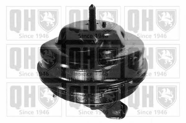Quinton Hazell EM1885 Подушка двигуна передня EM1885: Купити в Україні - Добра ціна на EXIST.UA!