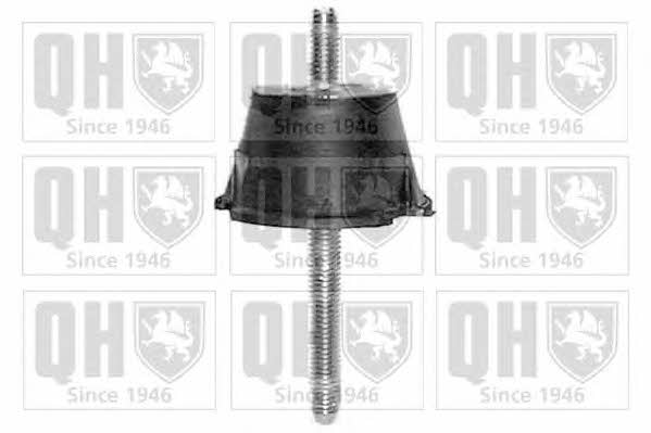 Quinton Hazell EM1946 Подушка двигуна EM1946: Купити в Україні - Добра ціна на EXIST.UA!