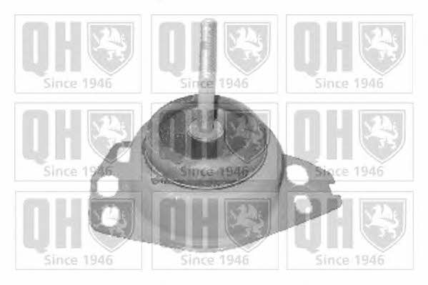 Quinton Hazell EM3143 Подушка двигуна EM3143: Купити в Україні - Добра ціна на EXIST.UA!
