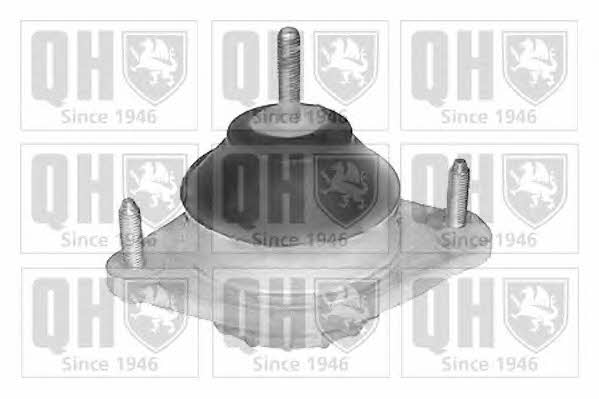 Quinton Hazell EM4067 Подушка двигуна ліва EM4067: Приваблива ціна - Купити в Україні на EXIST.UA!