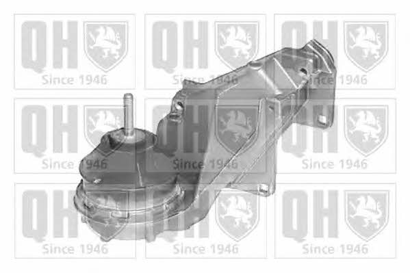 Quinton Hazell EM4069 Подушка двигуна EM4069: Купити в Україні - Добра ціна на EXIST.UA!