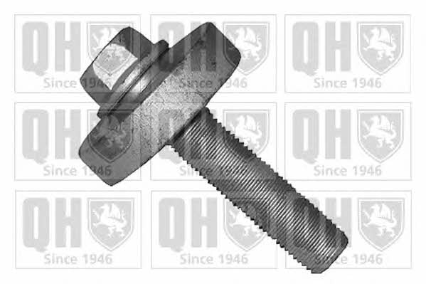 Quinton Hazell QTT1166B Болт кріплення шківа валу колінчастого QTT1166B: Купити в Україні - Добра ціна на EXIST.UA!